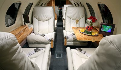Why You Should Choose Private Jet Charters to Lagunes
